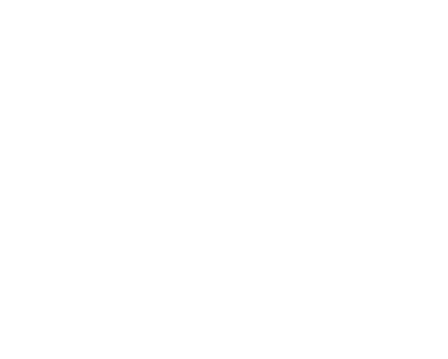 Amx Solutions USA Inc.